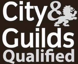 city and guilds qualified tree surgeon
